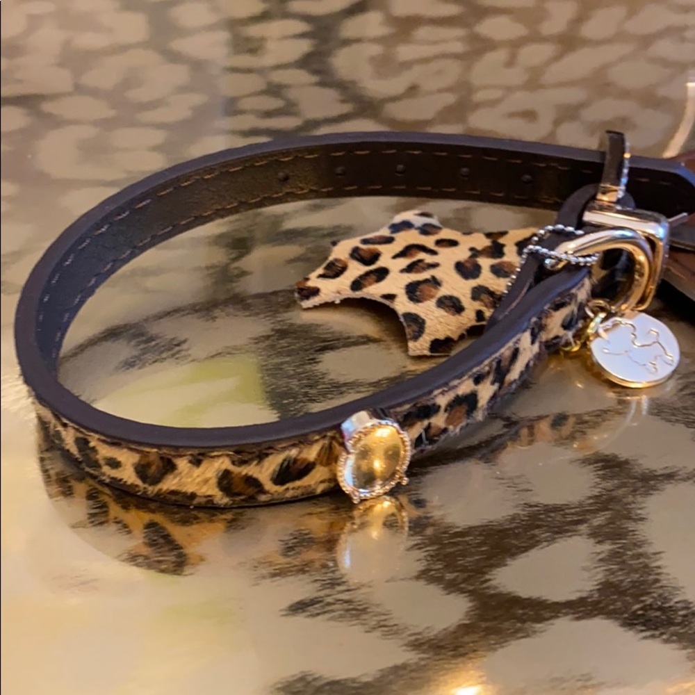 Bling Leopard Puppy Collar